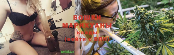 ГАЛЛЮЦИНОГЕННЫЕ ГРИБЫ Нефтекумск