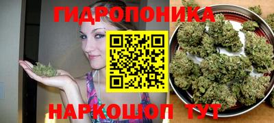 гашиш Гусиноозёрск