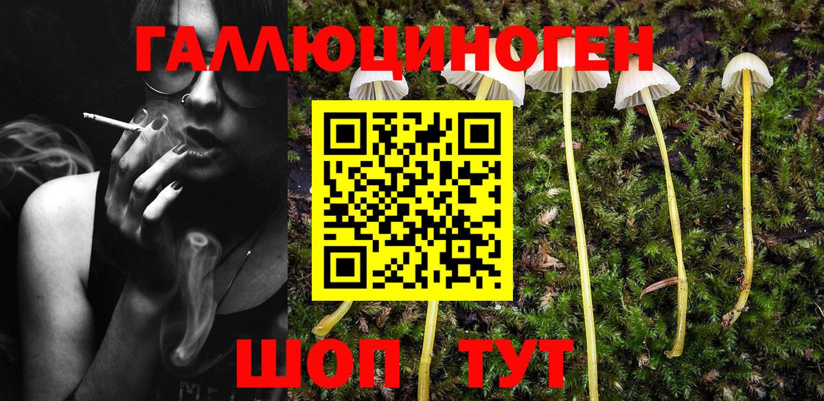 Псилоцибиновые грибы Cubensis  Вход с VPN  Ступино 