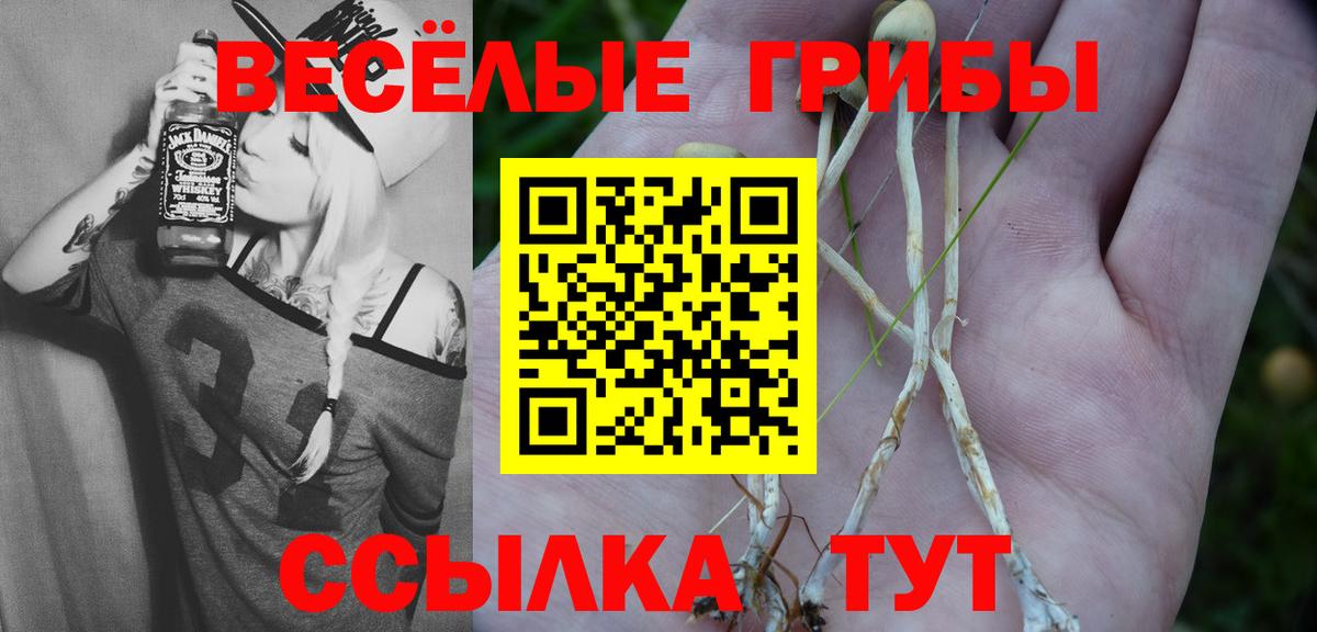 Псилоцибиновые грибы Psilocybe Ступино